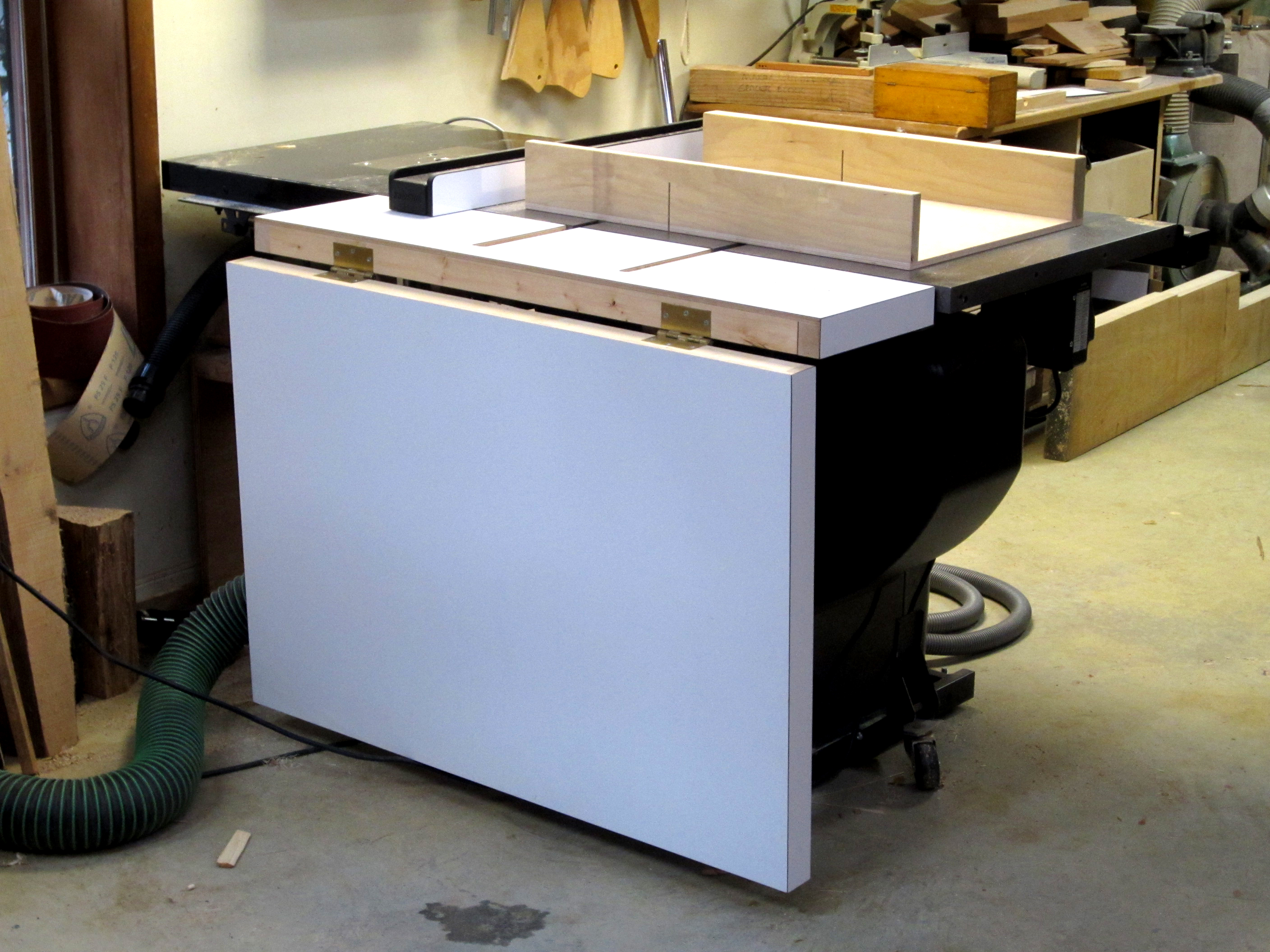  saw http world of wood blogspot com 2012 01 raised panels on table saw
