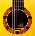 guitar high detail