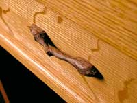 fall-front desk handle detail